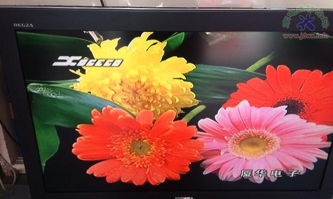 显示器卡顿区域白屏问题的解决方法（轻松应对显示器卡顿区域白屏）