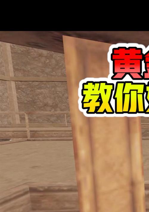 和平精英隐身技巧有哪些？如何在游戏中实现真正的隐身？