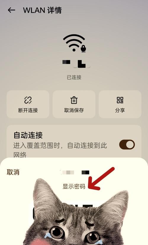手机连上wifi却不能上网怎么回事？如何快速解决？