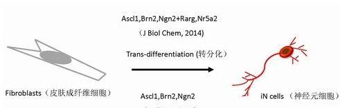 RAR文件格式是什么以及如何进行转换？