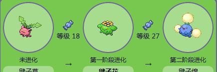 口袋妖怪红宝石攻略图文怎么找？图文攻略有哪些常见问题解答？
