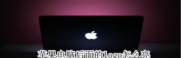 苹果笔记本指示灯闪烁关闭方法是什么？