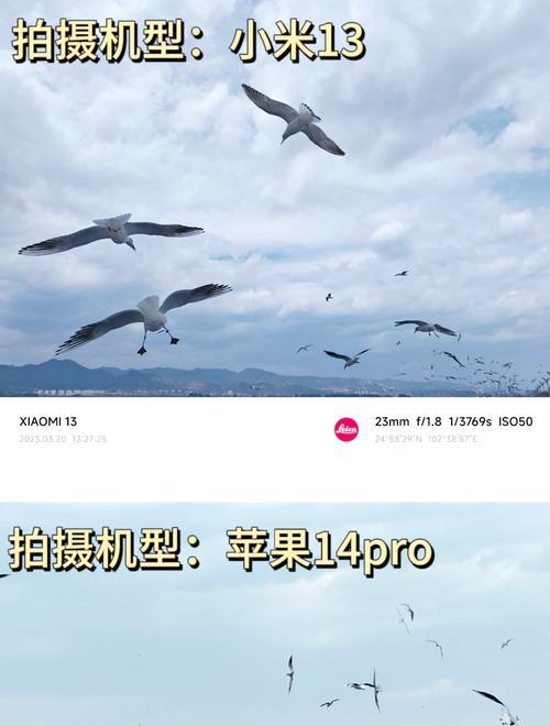 小米手机拍照功能如何使用？有哪些拍照技巧？