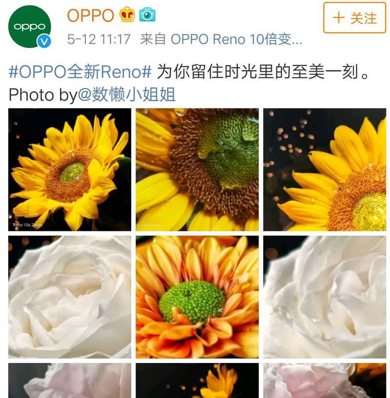 手机如何设置只使用主摄拍照？设置主摄拍照的方法是什么？