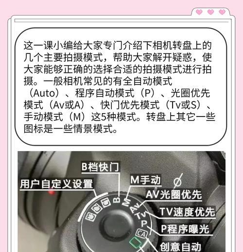 手机拍照新手入门指南？拍照技巧有哪些？