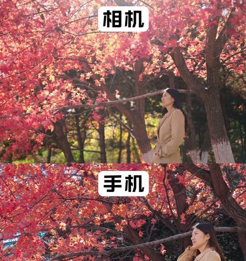 深视双目相机手机拍照操作指南？