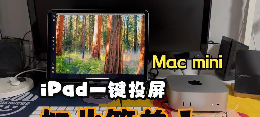 更换电脑显示器后画面变小？如何调整？