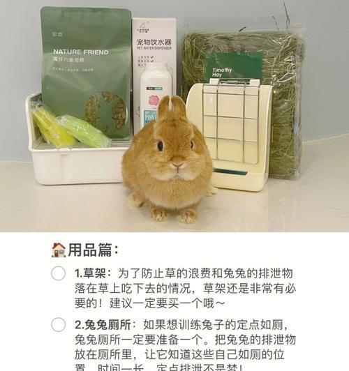兔子拍照后如何将照片传到手机？操作步骤是什么？