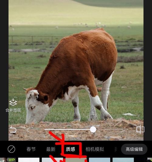 相机如何与手机联动拍照？操作步骤是什么？