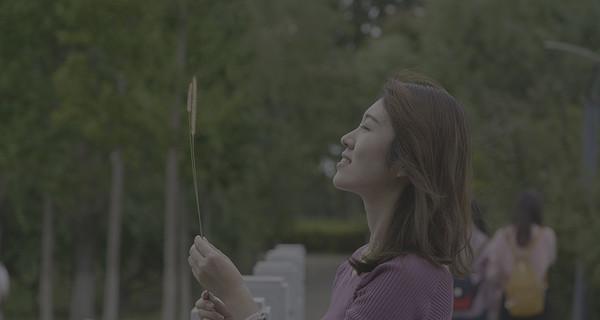 松下相机如何拍摄县城文学？拍摄过程中需要注意什么？