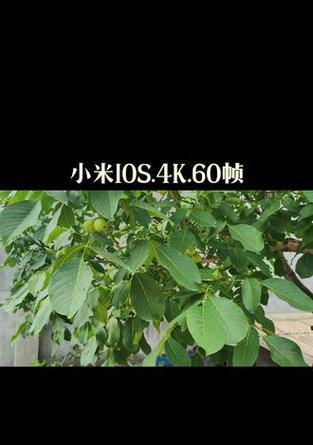 小米手机影像功能如何最大化利用？