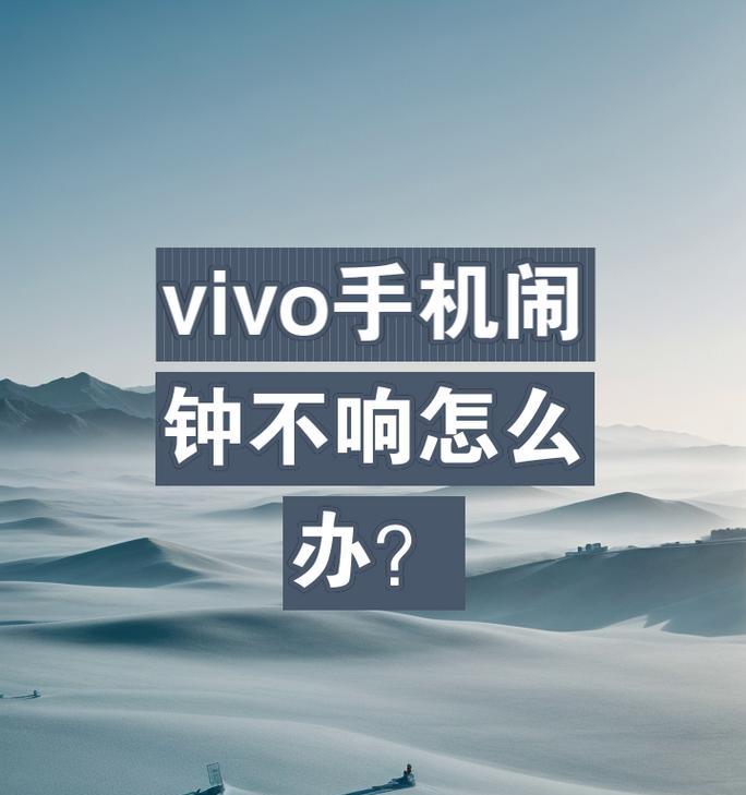 vivo手机秤的使用方法是什么？
