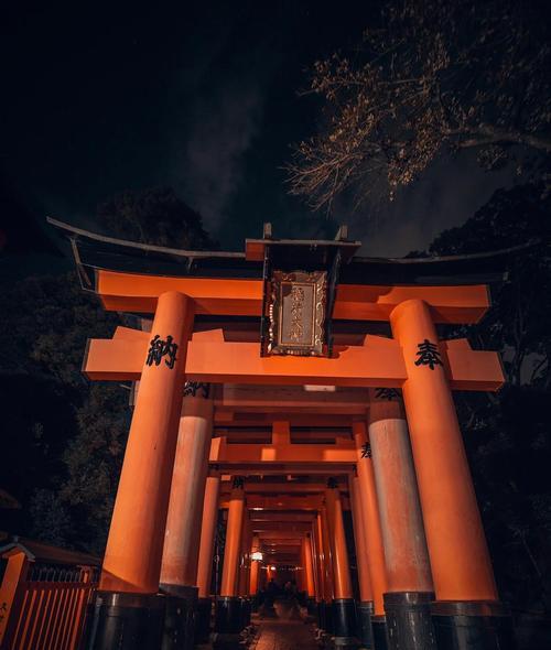 佳能相机拍夜景时黑屏如何解决？