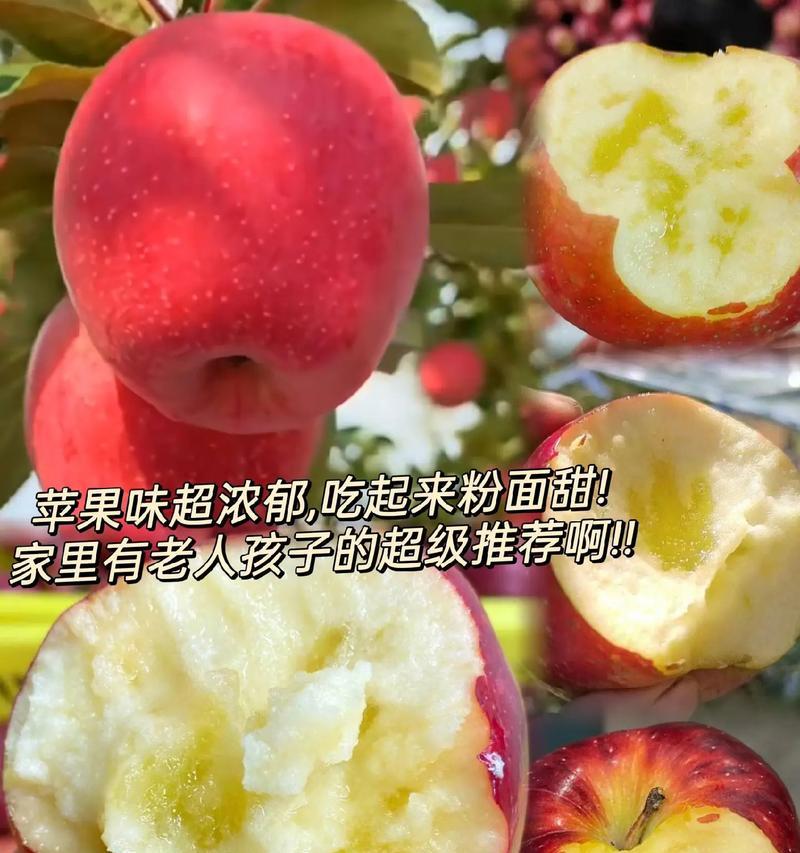 在陕西买苹果手机哪里发货？购买后多久能收到？