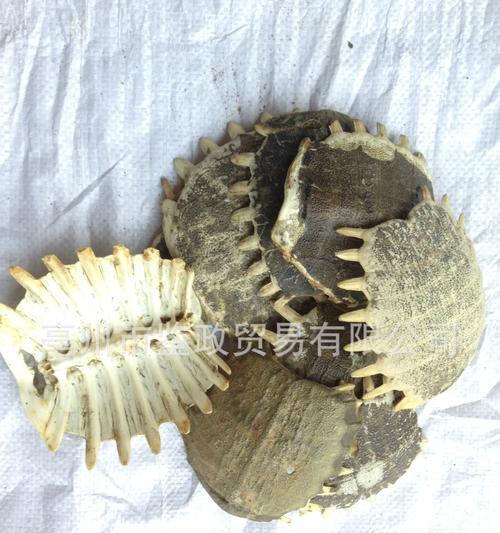王八壳制作音箱的方法是什么？如何让王八壳音箱音质更好？