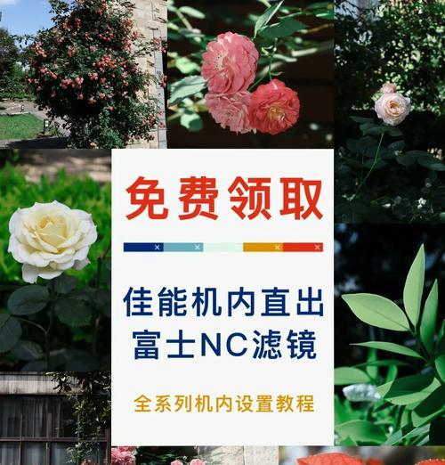 佳能相机如何调整以防止反光？