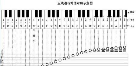蟋蟀声音的键盘叫什么？它有什么特别之处？