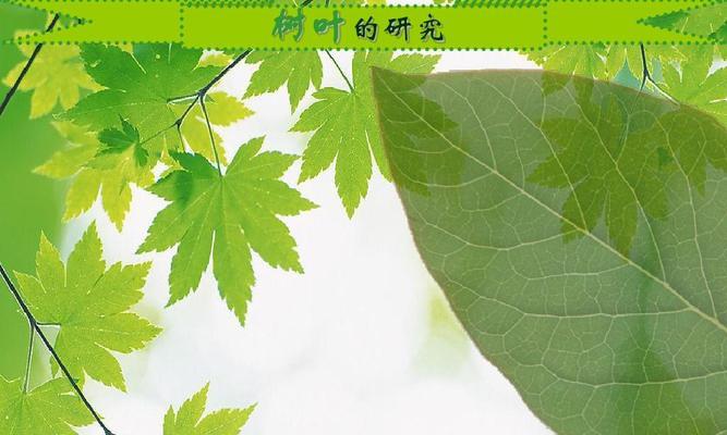显示屏绿色变黄的原因及解决方法？