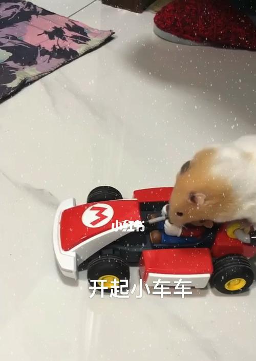 超级玛丽游戏机中的仓鼠玩法有哪些？