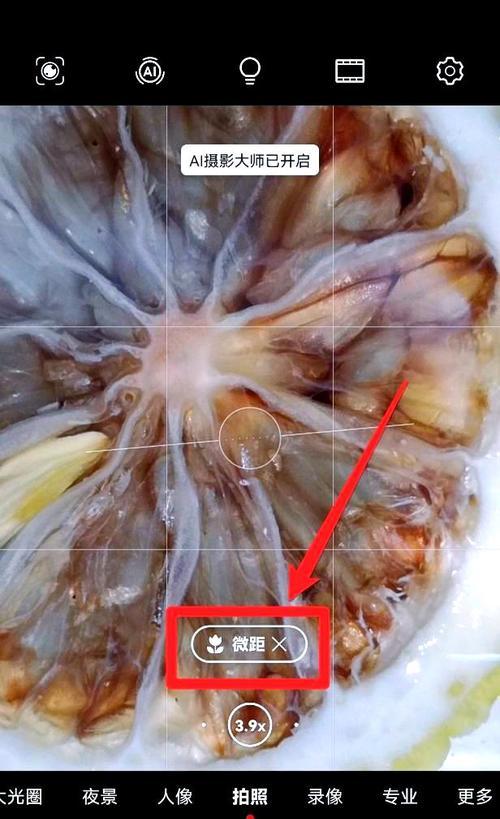 红米手机微距拍摄的技巧是什么？如何设置才能拍出好照片？