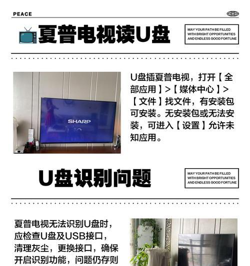 电视屏幕显示字怎么弄出来？操作步骤是什么？
