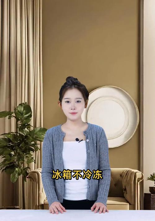 冰箱不制冷的原因及解决方法（解决家中冰箱不制冷的常见问题）