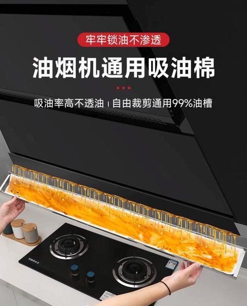 清洗油烟机漏油网的有效办法（掌握这几种技巧，清洗轻松又干净）