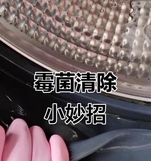 洗衣机胶条的清洗方法（轻松清洁洗衣机胶条，防止细菌滋生）