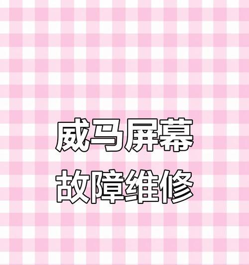 探索显示器亮度问题的解决方法（如何解决显示器亮度不亮的问题）