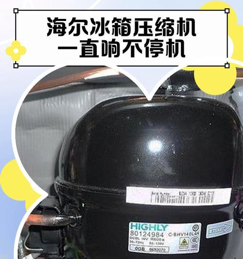 冰箱压缩机进水的解决办法（解决冰箱压缩机进水问题的有效措施）