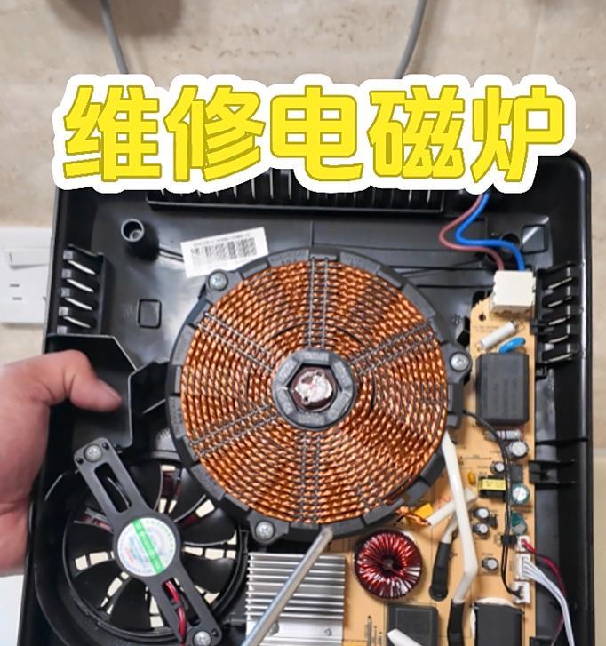电磁炉的使用与维修（如何避免电磁炉的损坏及维修技巧）