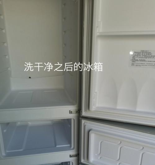 冰箱长毛清理攻略（轻松应对冰箱长毛，让冰箱保持清洁卫生）