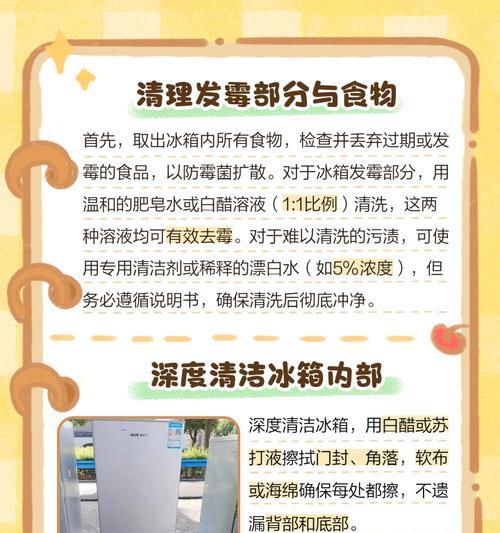 如何去除冰箱蛋坏了的异味（简单实用的清除异味方法）