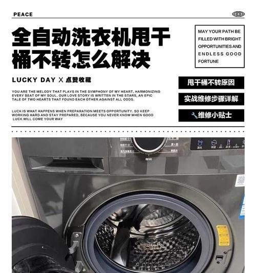 洗衣机无法排水甩干的原因及解决方法（深入分析洗衣机无法排水甩干的各种原因）