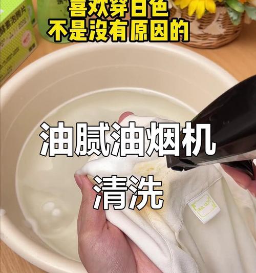 如何清洗油烟机上的油垢（掌握正确的清洗方法）