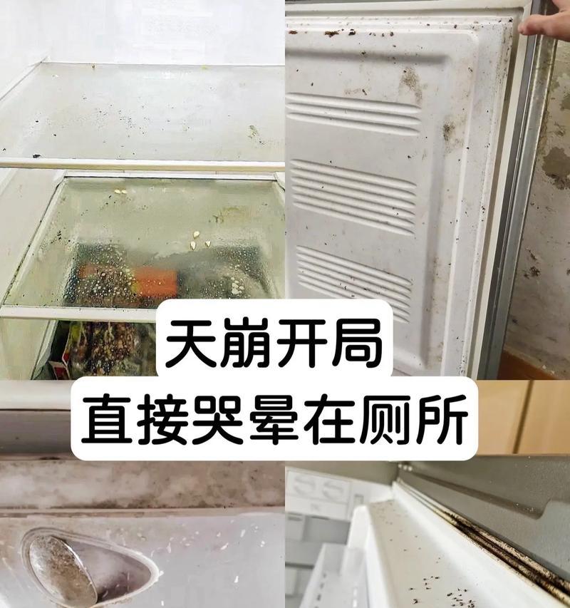 正确清洗冰箱，保持食品安全