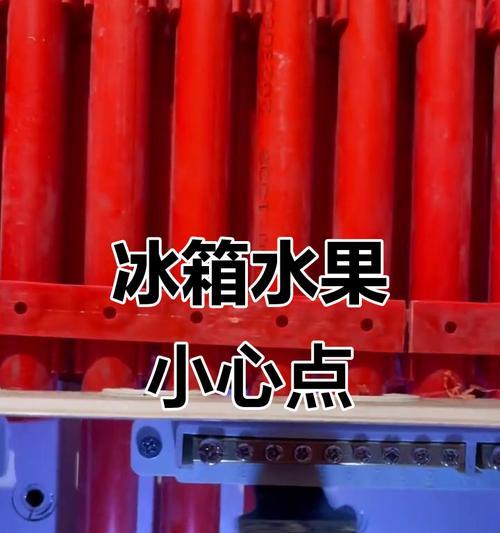 保鲜妙招（延长水果冰箱使用寿命的关键措施）