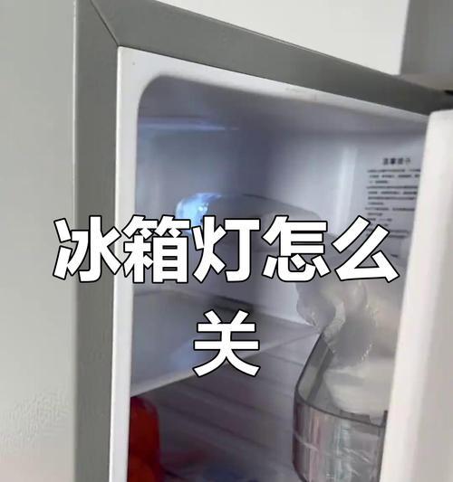 冰箱保鲜灯不亮不制冷的原因及解决方法（了解冰箱保鲜灯不亮不制冷的原因）