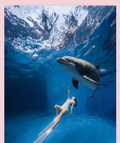 海豚合照为什么不准用美颜相机？美颜相机对海豚有什么影响？