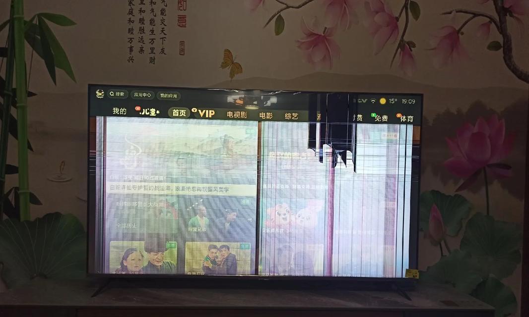 电视机屏幕进水坏了怎么办（故障排查与解决方法）