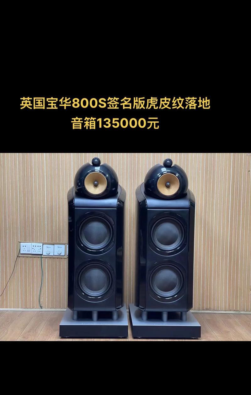 哪些品牌的音箱价格昂贵？贵价音箱的特点是什么？