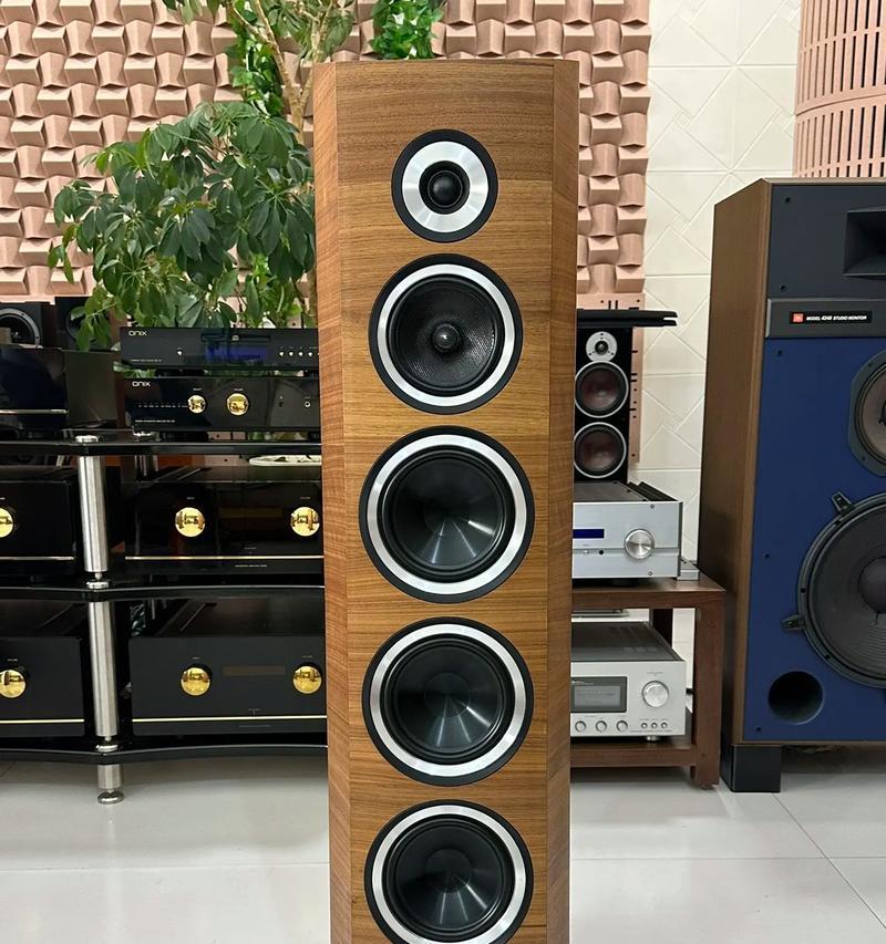 哪些品牌的音箱价格昂贵？贵价音箱的特点是什么？