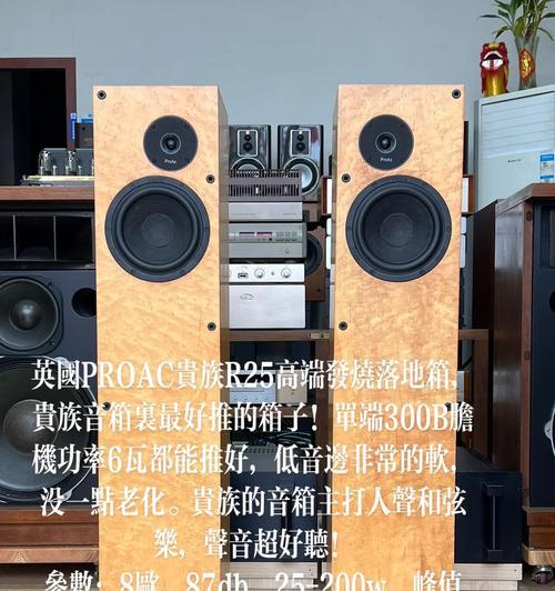 哪些品牌的音箱价格昂贵？贵价音箱的特点是什么？